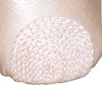 pointe shoe protectors